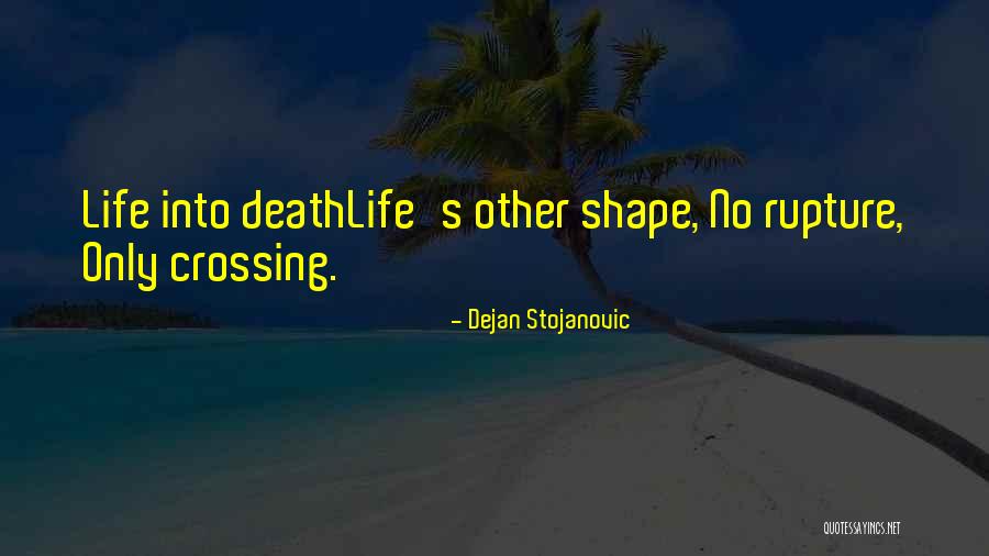 Experienceittour Quotes By Dejan Stojanovic Experienceittour Quotes By Dejan Stojanovic