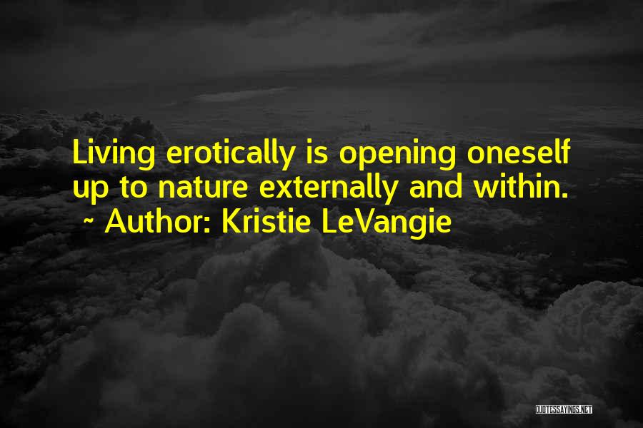 Experiences And Life Quotes By Kristie LeVangie