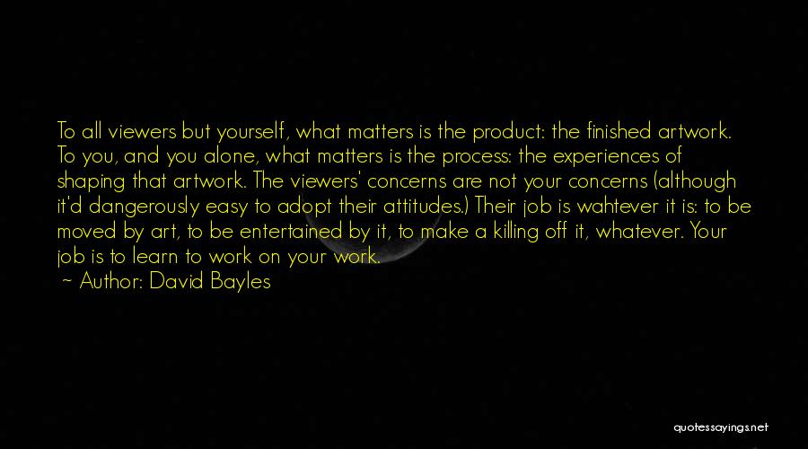 Experiences Shaping Us Quotes By David Bayles