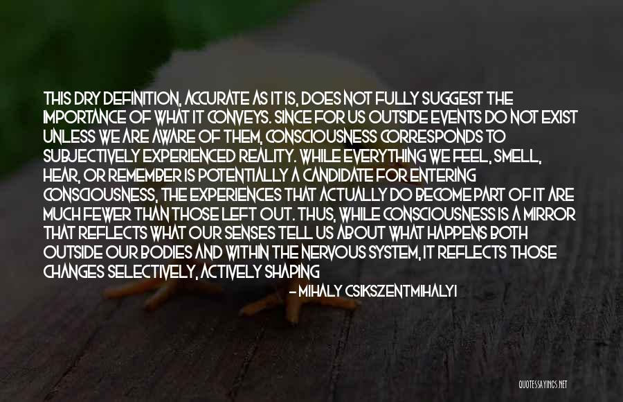 Experiences Shaping You Quotes By Mihaly Csikszentmihalyi Experiences Shaping You Quotes By Mihaly Csikszentmihalyi
