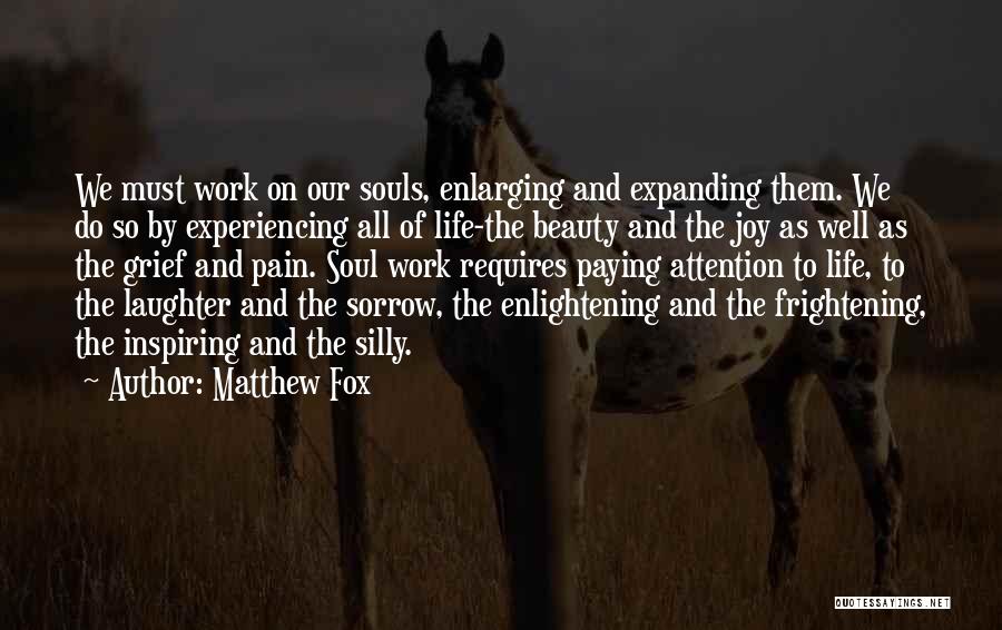 Experiencing Beauty Quotes By Matthew Fox