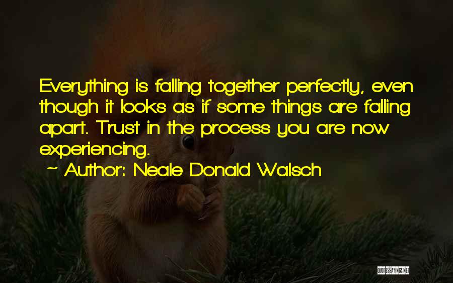 Experiencing Everything Quotes By Neale Donald Walsch