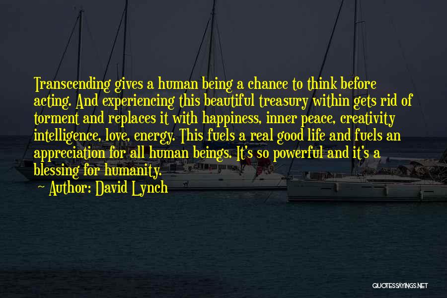 Experiencing Happiness Quotes By David Lynch