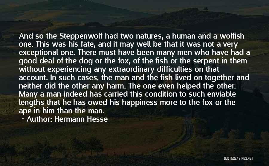 Experiencing Happiness Quotes By Hermann Hesse