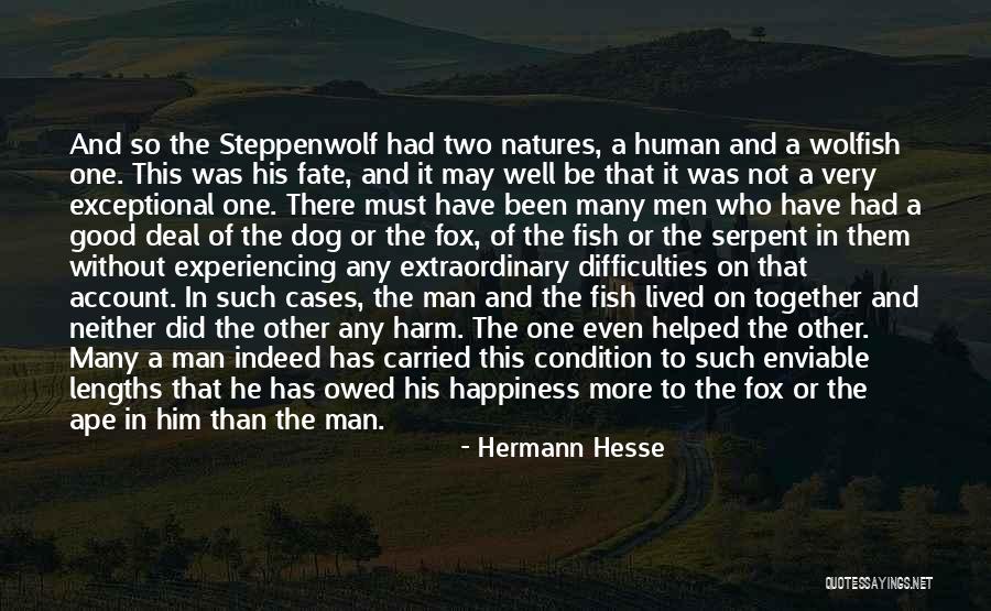 Experiencing Nature Quotes By Hermann Hesse Experiencing Nature Quotes By Hermann Hesse