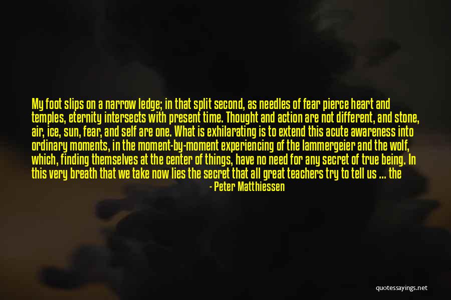 Experiencing Nature Quotes By Peter Matthiessen Experiencing Nature Quotes By Peter Matthiessen