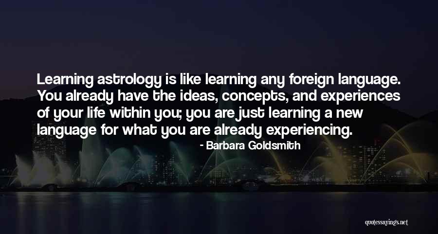 Experiencing New Things Quotes By Barbara Goldsmith