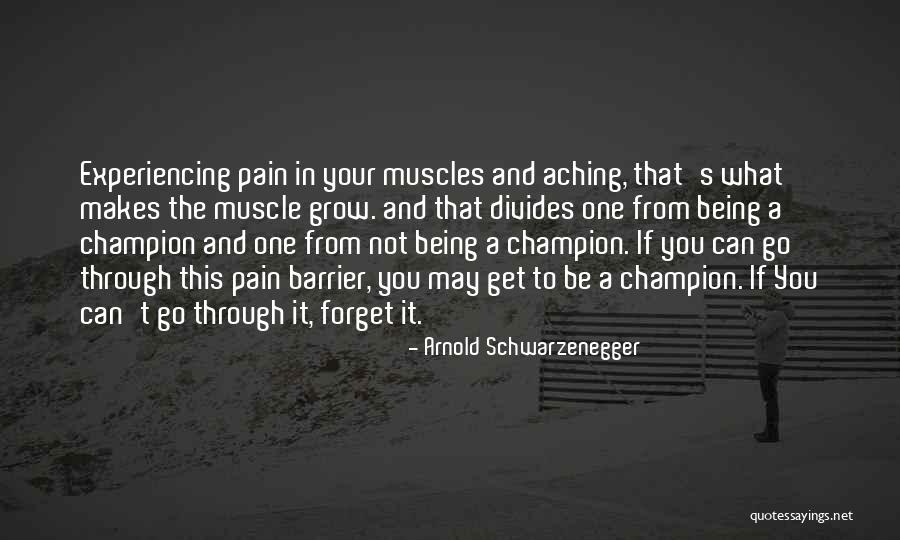 Experiencing Pain Quotes By Arnold Schwarzenegger