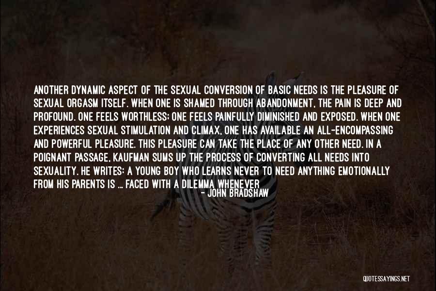 Experiencing Pain Quotes By John Bradshaw Experiencing Pain Quotes By John Bradshaw