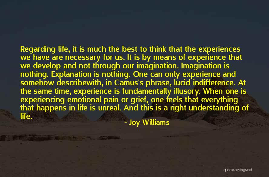 Experiencing Pain Quotes By Joy Williams Experiencing Pain Quotes By Joy Williams