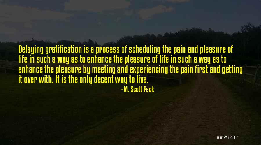 Experiencing Pain Quotes By M. Scott Peck