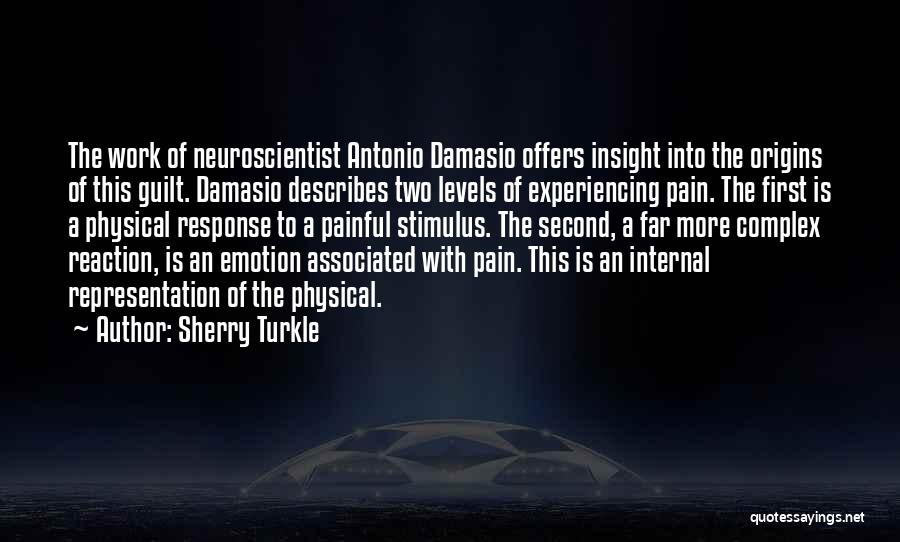 Experiencing Pain Quotes By Sherry Turkle