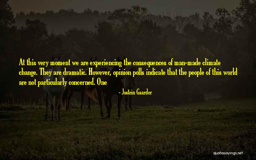 Experiencing The World Quotes By Jostein Gaarder