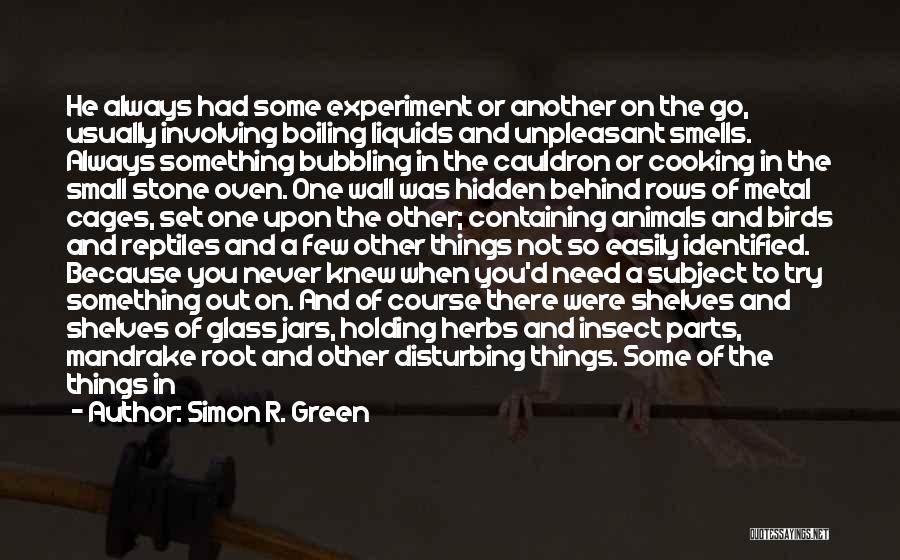 Experiment Quotes By Simon R. Green