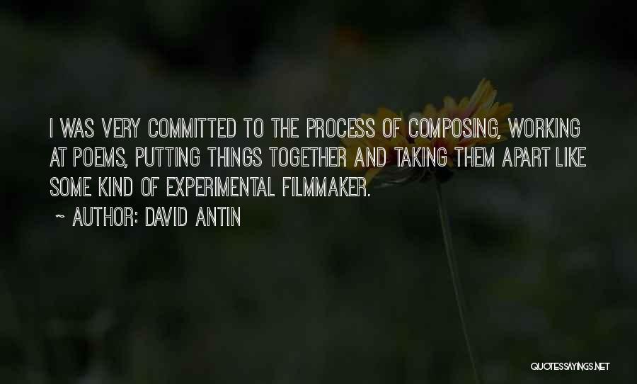 Experimental Filmmaker Quotes By David Antin