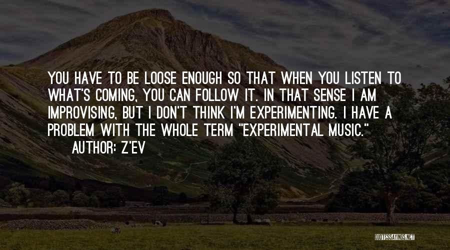 Experimental Music Quotes By Z'EV