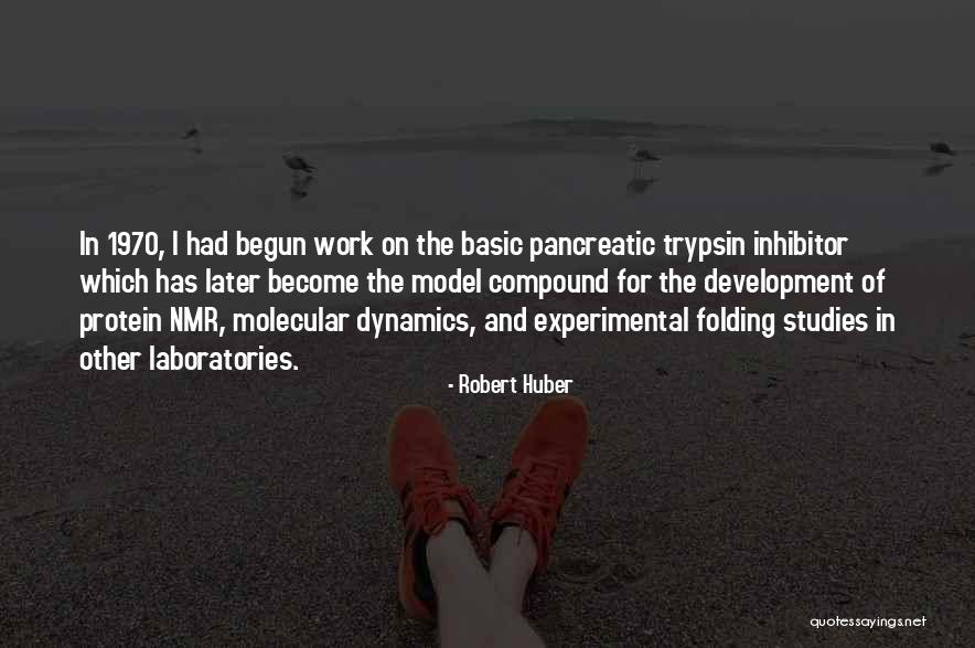 Experimental Work Quotes By Robert Huber