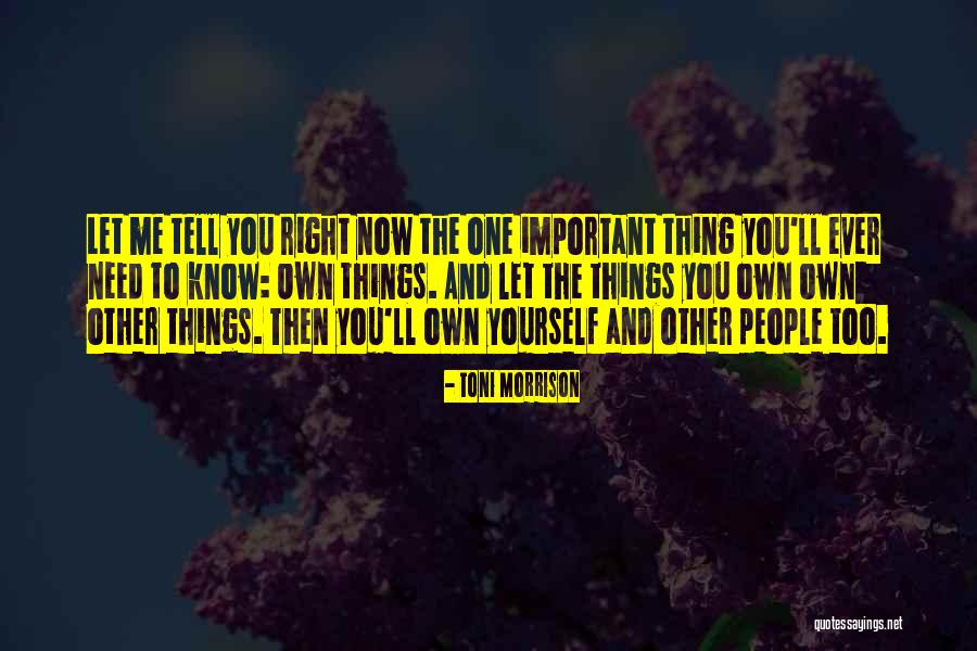 Experimentaras Quotes By Toni Morrison Experimentaras Quotes By Toni Morrison