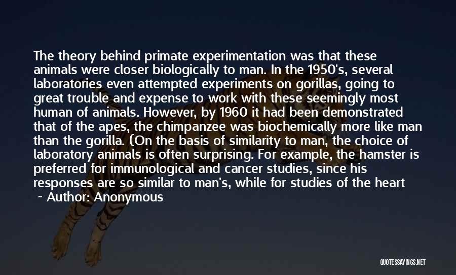 Experimentation Quotes By Anonymous