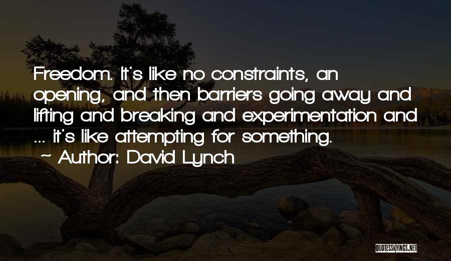 Experimentation Quotes By David Lynch