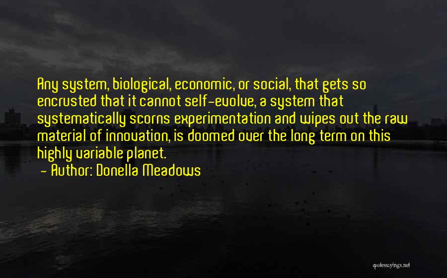 Experimentation Quotes By Donella Meadows