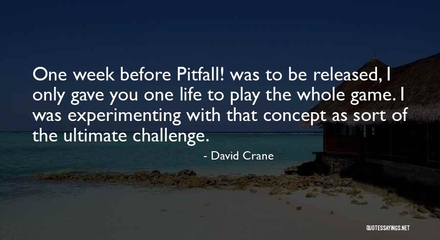 Experimenting In Life Quotes By David Crane Experimenting In Life Quotes By David Crane