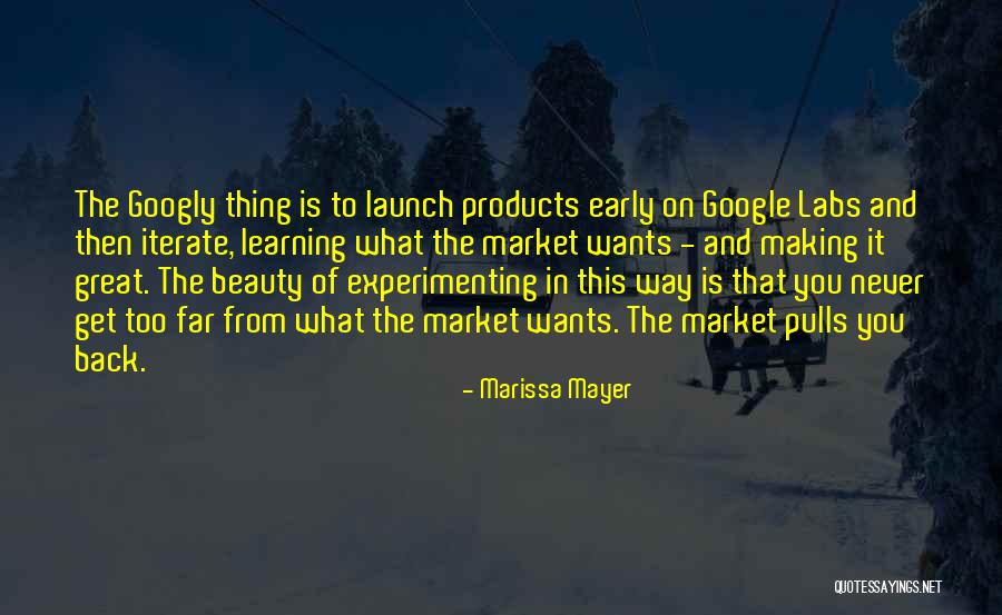 Experimenting Quotes By Marissa Mayer