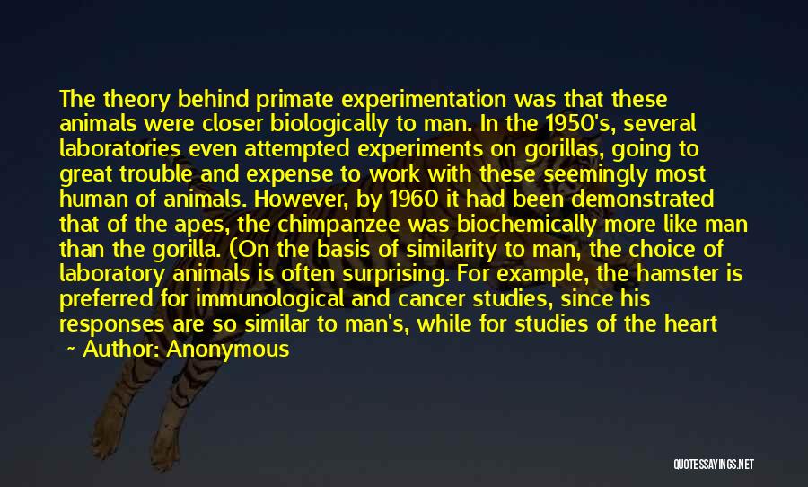 Experiments Quotes By Anonymous