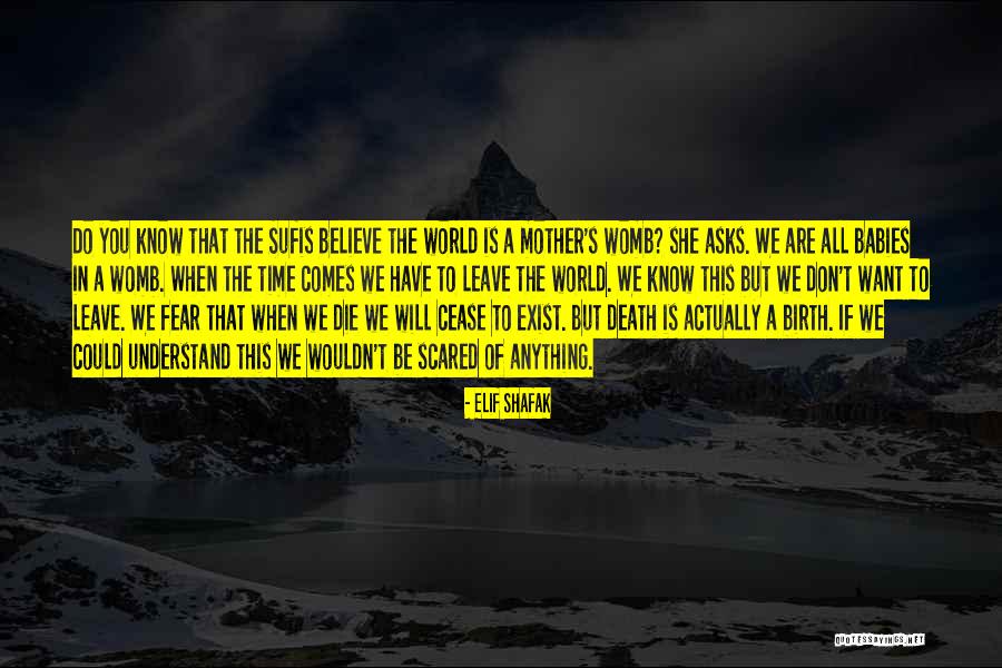 Expert Attempters Quotes By Elif Shafak Expert Attempters Quotes By Elif Shafak