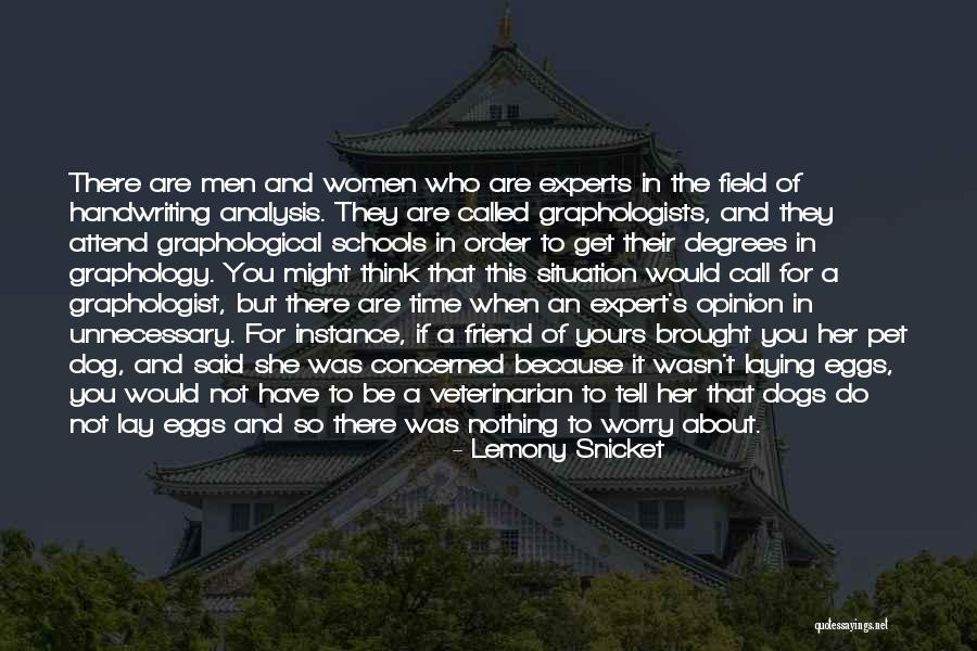 Expert In Nothing Quotes By Lemony Snicket Expert In Nothing Quotes By Lemony Snicket
