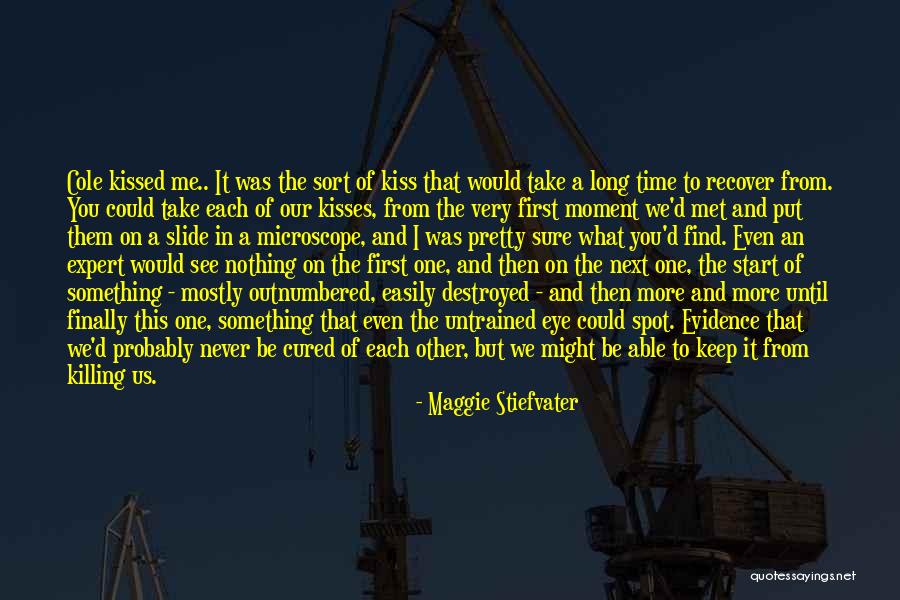 Expert In Nothing Quotes By Maggie Stiefvater Expert In Nothing Quotes By Maggie Stiefvater
