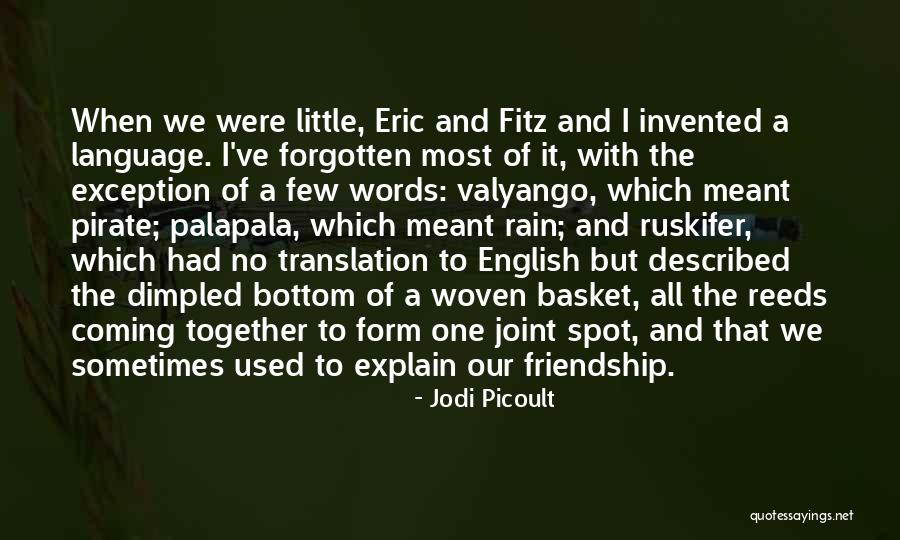 Explain Friendship Quotes By Jodi Picoult