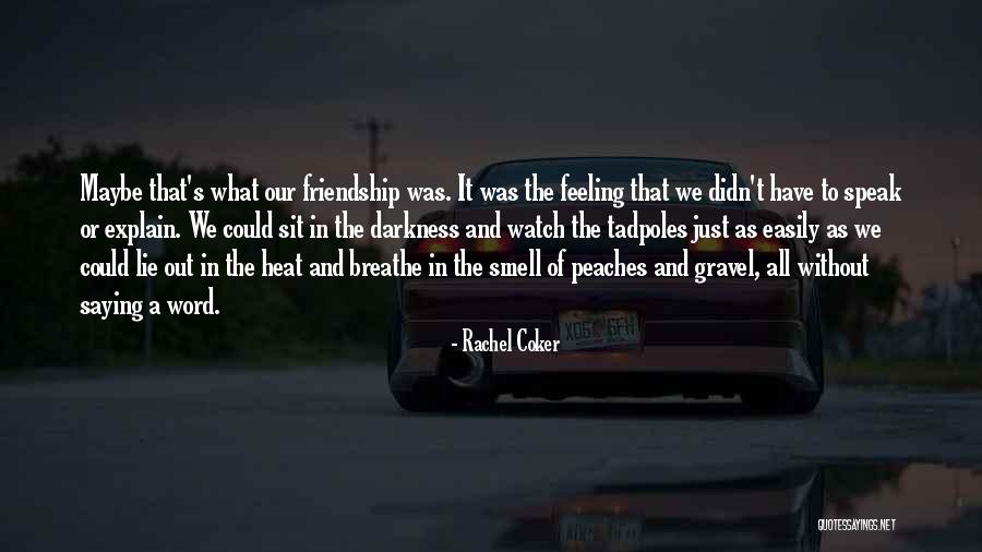 Explain Friendship Quotes By Rachel Coker Explain Friendship Quotes By Rachel Coker