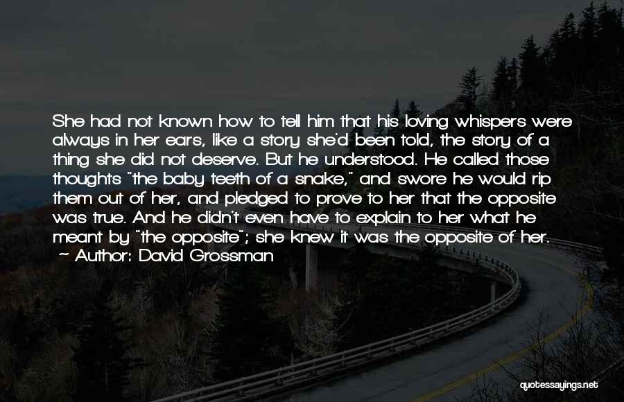 Explain The Quotes By David Grossman