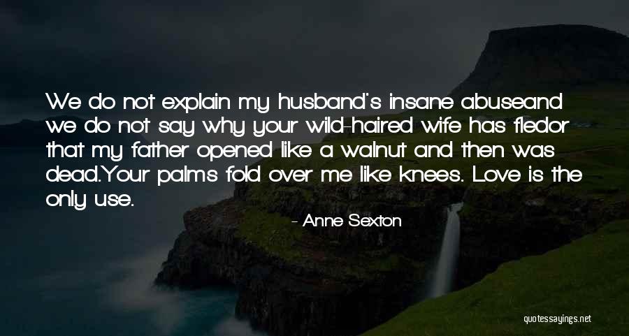 Explain Your Love Quotes By Anne Sexton