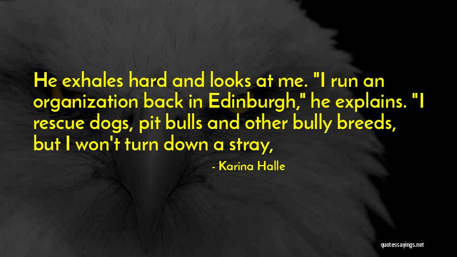 Explains Quotes By Karina Halle Explains Quotes By Karina Halle