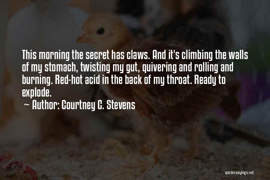 Explode Quotes By Courtney C. Stevens