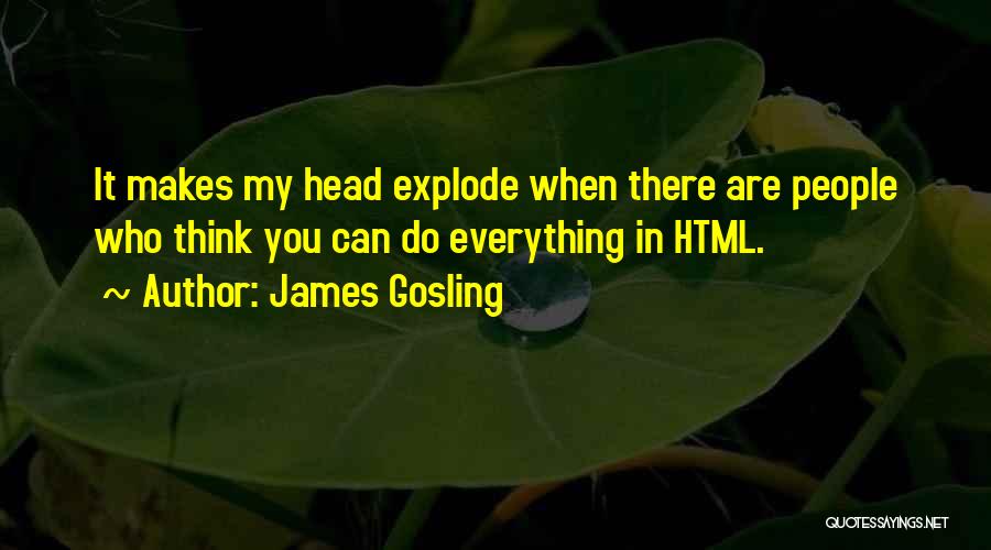 Explode Quotes By James Gosling