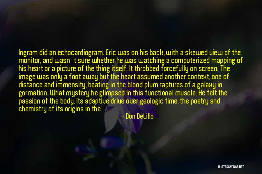 Exploding Heart Quotes By Don DeLillo Exploding Heart Quotes By Don DeLillo