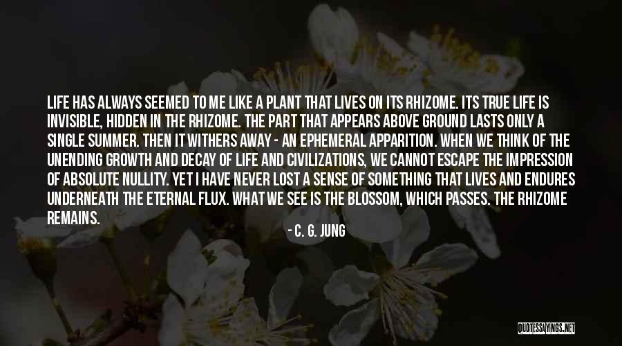 Exploitable Ambiguity Quotes By C. G. Jung Exploitable Ambiguity Quotes By C. G. Jung
