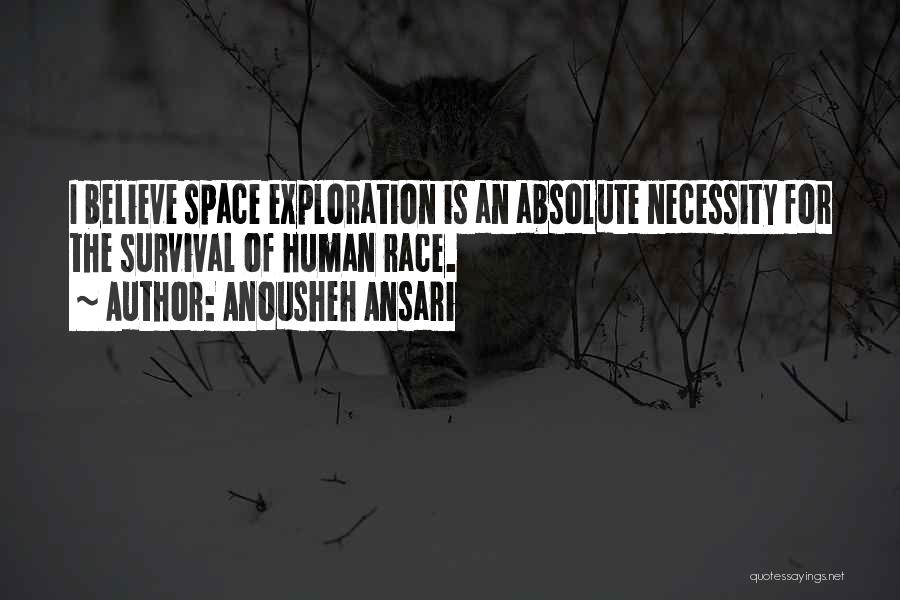 Exploration Of Space Quotes By Anousheh Ansari