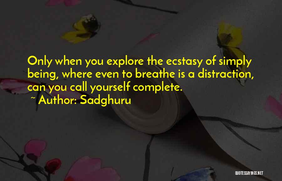 Explore Yourself Quotes By Sadghuru