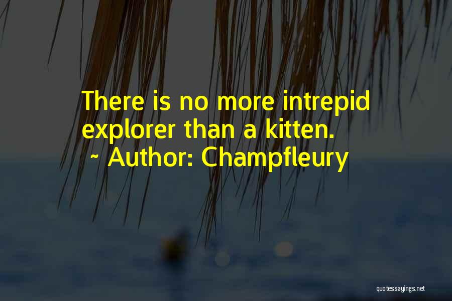 Explorer Quotes By Champfleury