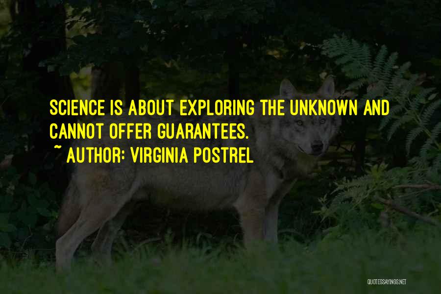 Exploring Quotes By Virginia Postrel