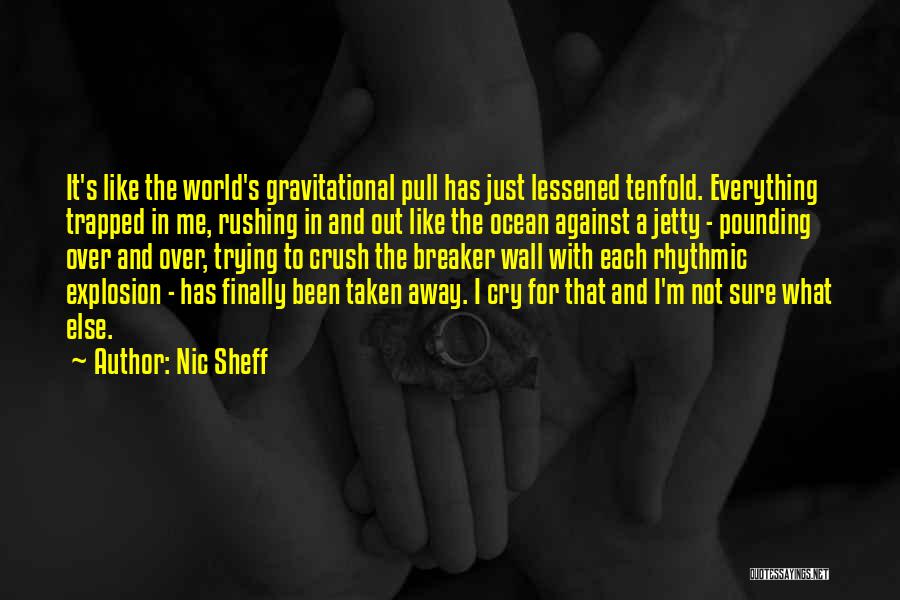 Explosion Quotes By Nic Sheff