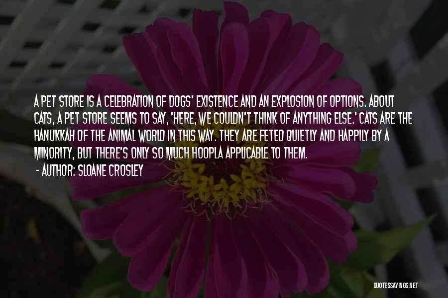 Explosion Quotes By Sloane Crosley