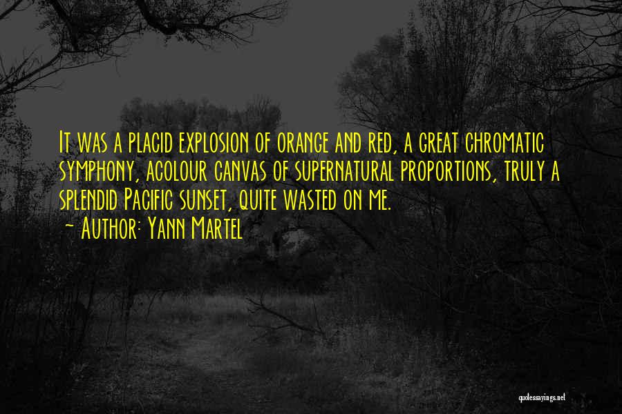 Explosion Quotes By Yann Martel