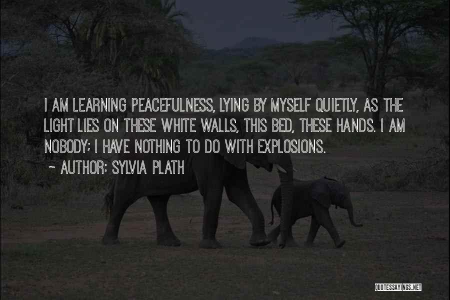 Explosions Quotes By Sylvia Plath