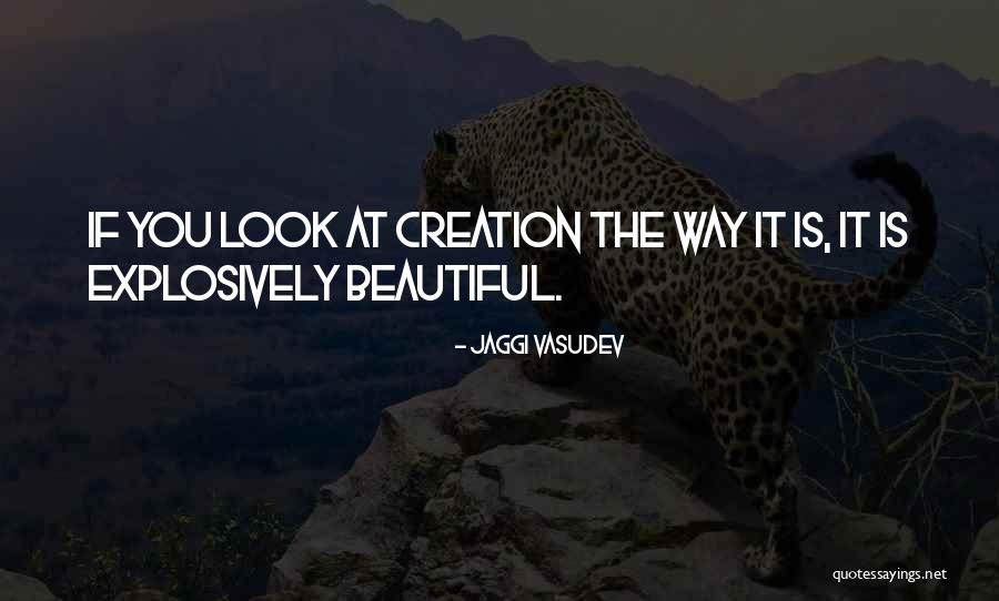 Explosively Quotes By Jaggi Vasudev Explosively Quotes By Jaggi Vasudev
