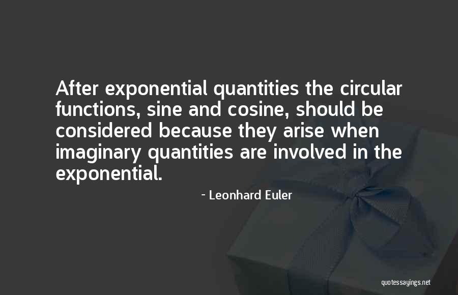 Exponential Function Quotes By Leonhard Euler